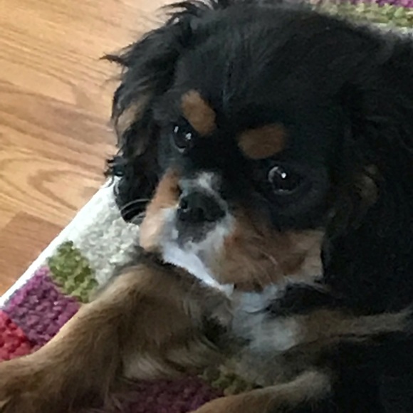 Closet Clear out News!!๐๐Meet your Posher๐๐ - Picture 7 of 16